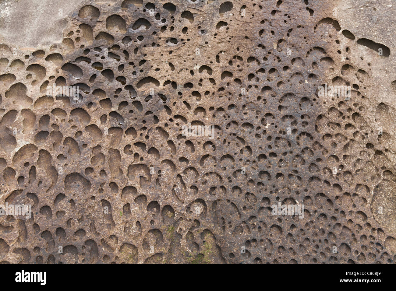 Eroded sandstone formation, Galiano Island Stock Photo