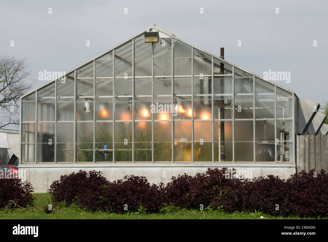 Experimental glasshouse, University of Illinois, Urbana, Illinois, USA Stock Photo