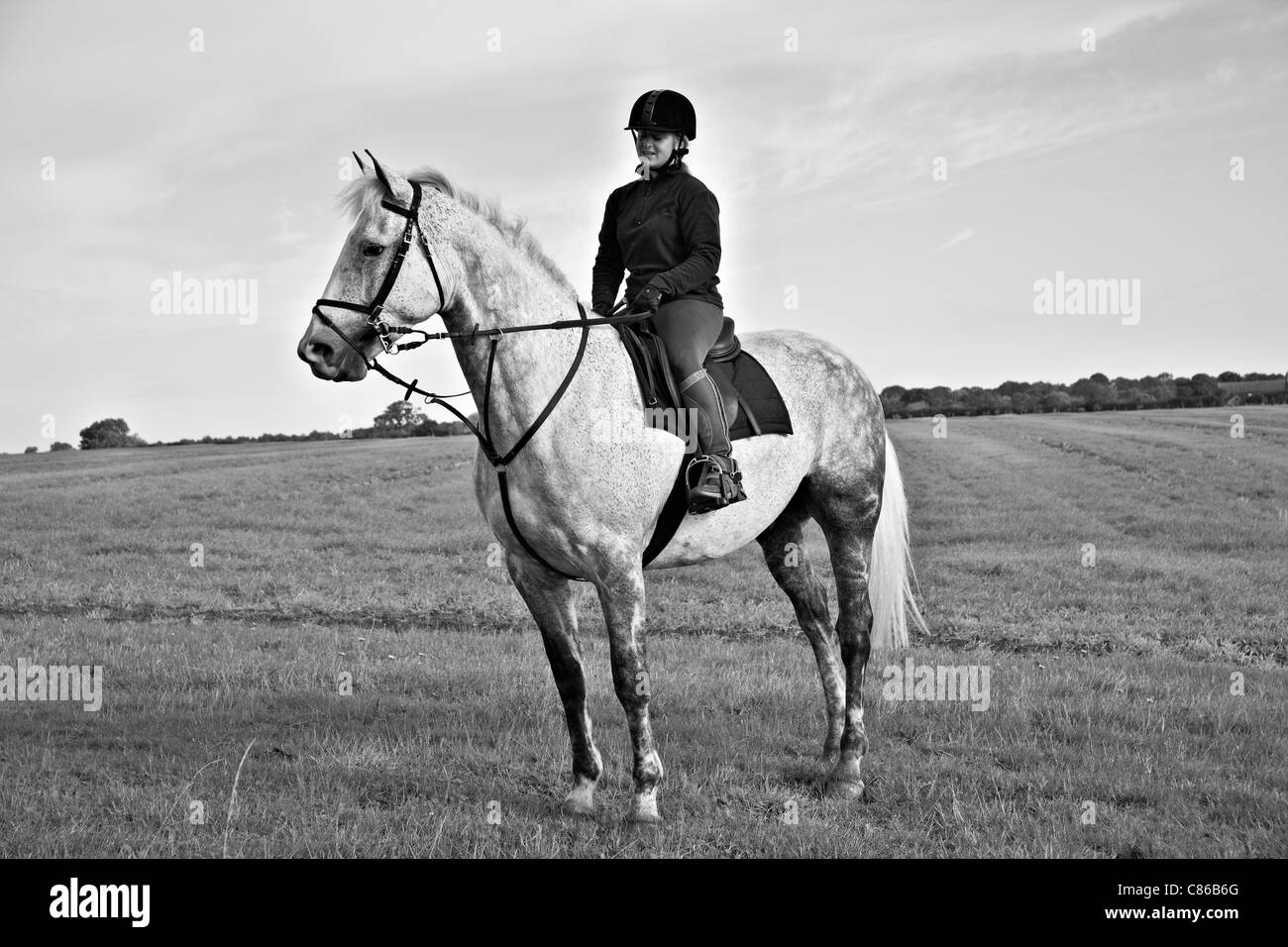 Woman horse. Irish Draught grey horse and female rider in an English countryside setting. UK Black and white photography Stock Photo