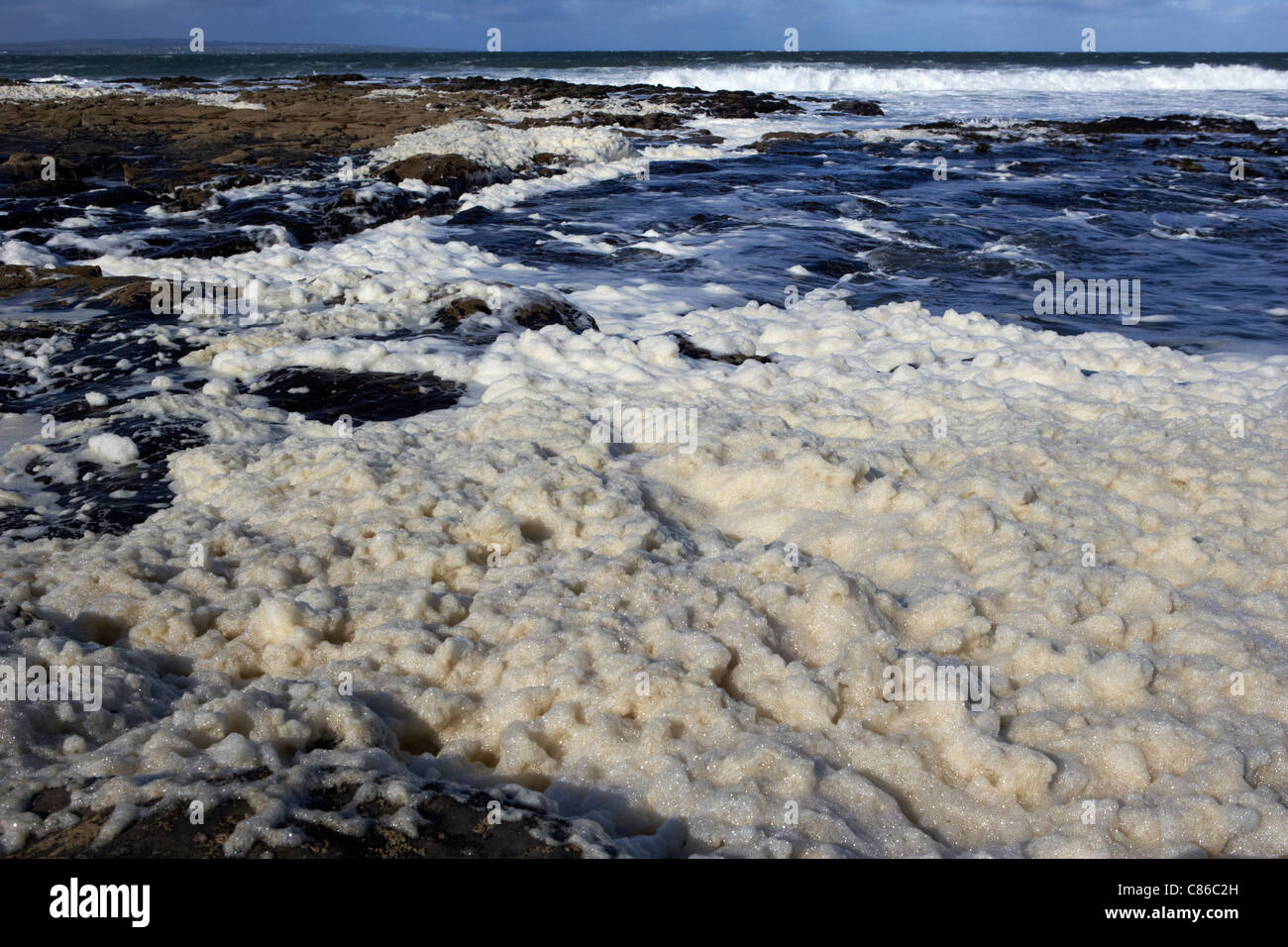 naturally occuring phaeocystis algae foam created by wave and wind action off the west coast of ireland Stock Photo