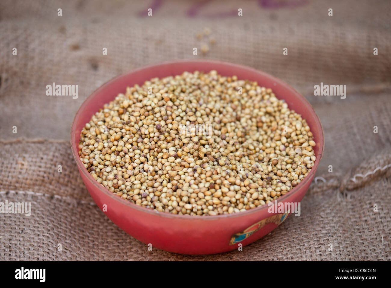 Coriander seeds on sale at Khari Baoli spice and dried foods market, Old Delhi, India Stock Photo