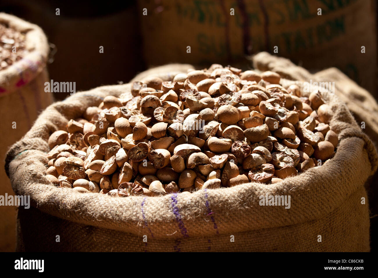 Betel nuts (Areca Nut) on sale at Khari Baoli spice and dried foods