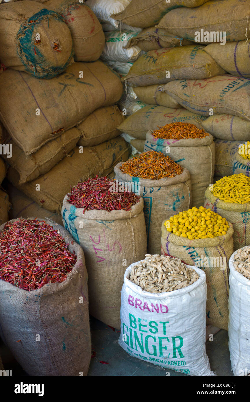 Red chillies, turmeric and ginger root on sale at Khari Baoli spice and dried foods market, Old Delhi, India Stock Photo