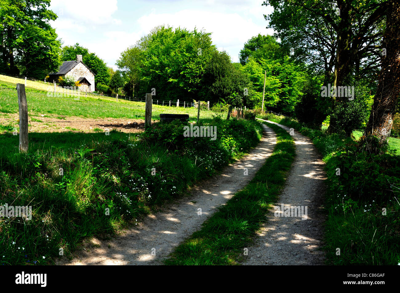 Circular walk of Moulin Foulon, meadow and woods (Manche, Normandy, France). Stock Photo