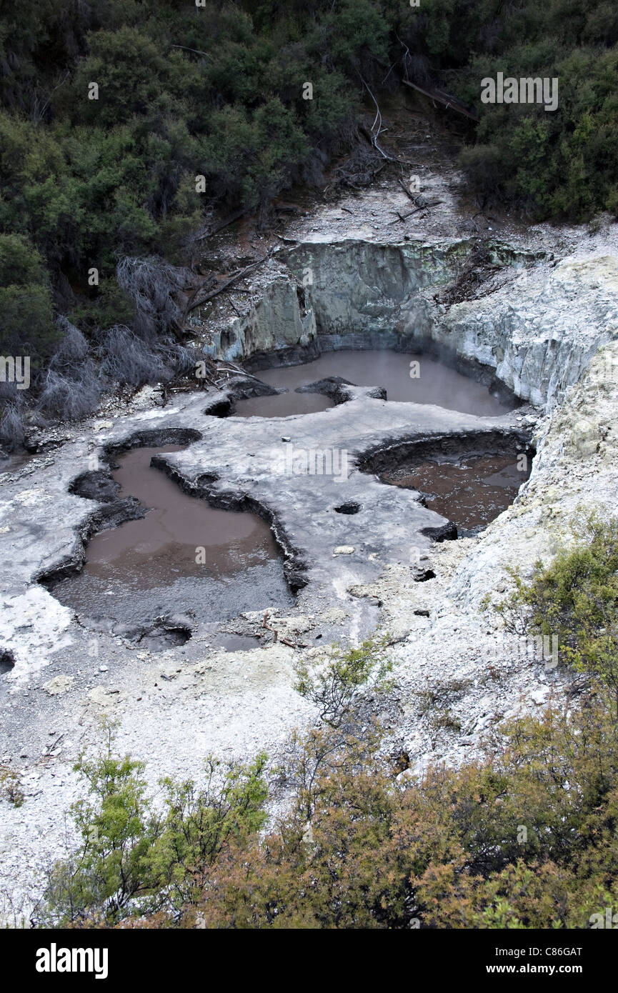 The Devil's Ink Pots Mud Pools at Wai-O-Tapu Thermal Wonderland near Rotorua North Island New Zealand Stock Photo