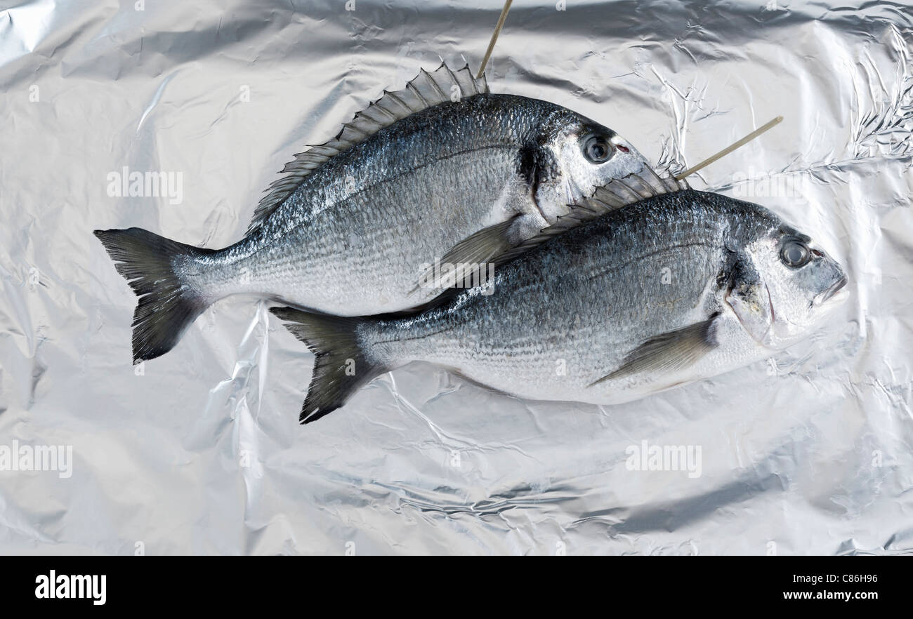 Aluminum foil animals hires stock photography and images Alamy