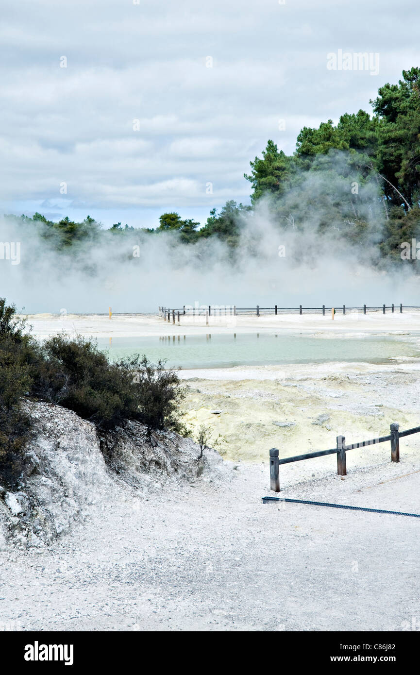 The Champagne Pool and Sinter Ledge Wai-O-Tapu Thermal Wonderland Rotorua North Island New Zealand NZ Stock Photo