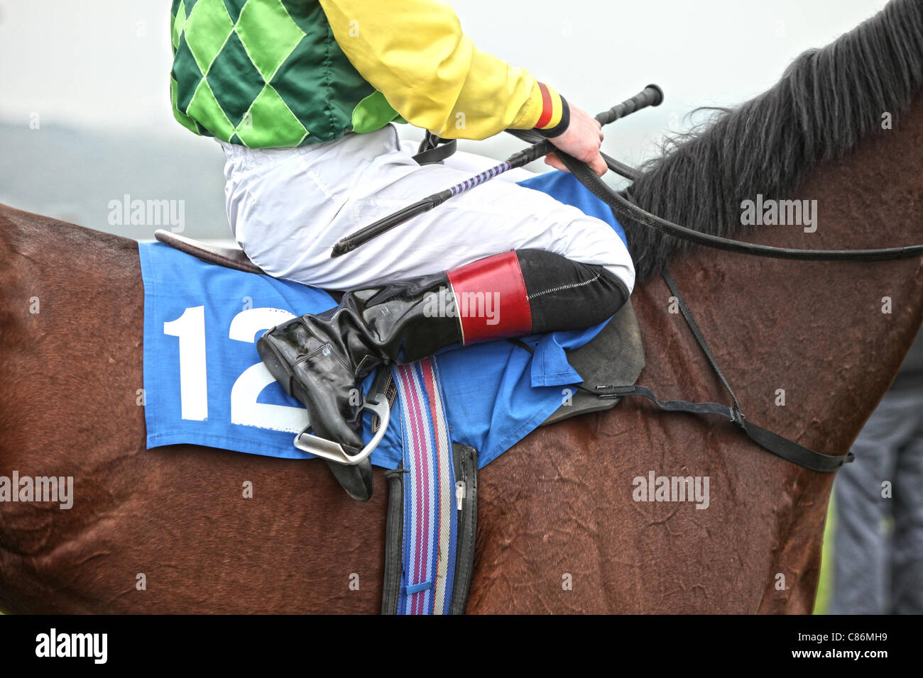 Horse whip hires stock photography and images Alamy