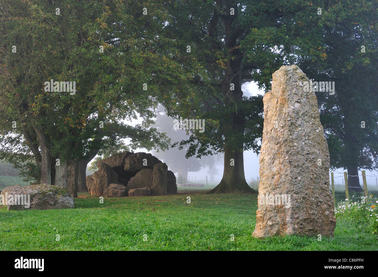 The Megalithic Grand Dolmen de Wéris and menhir in the mist, Belgian Ardennes, Luxembourg, Belgium Stock Photo