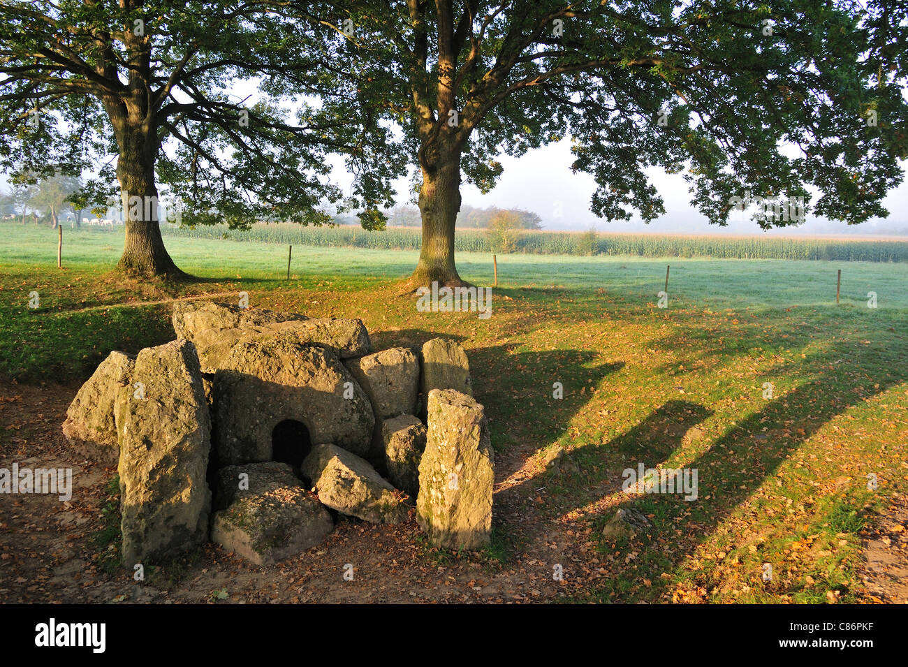 Megalithic dolmen d'Oppagne / Dolmen de Wéris II, Belgian Ardennes