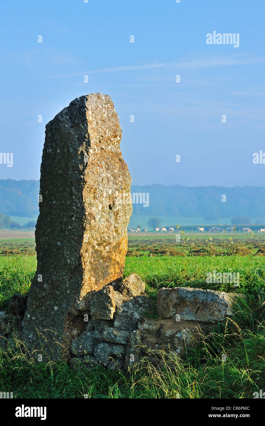 Megalithic menhir / standing stone Danthin near Wéris, Belgian Ardennes, Luxembourg, Belgium Stock Photo