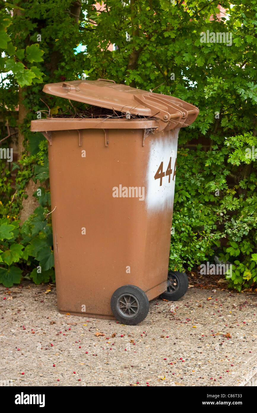 An overflowing compost wheely bin in the UK Stock Photo