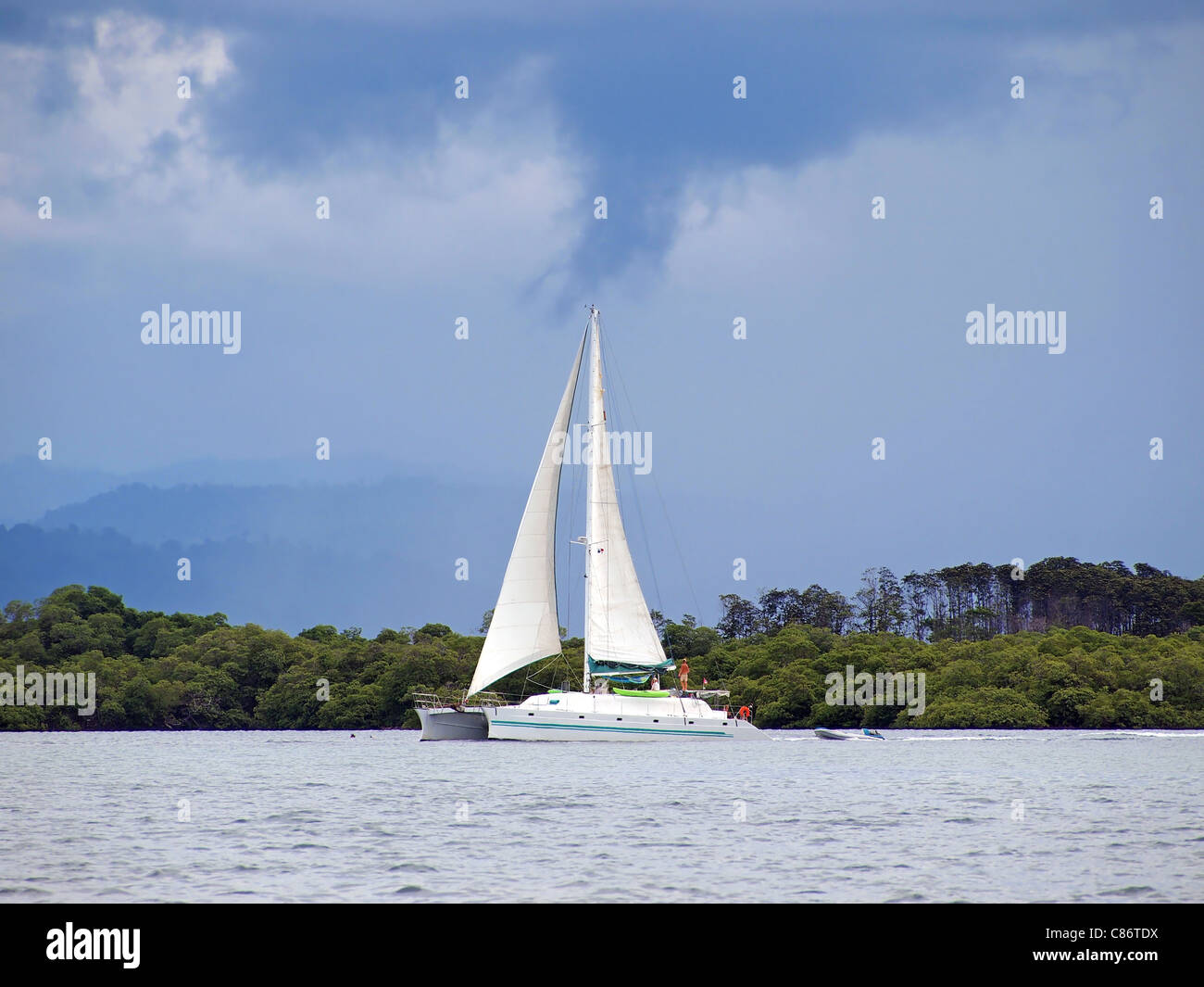 Catamaran and stormy sky with mangrove in background Stock Photo