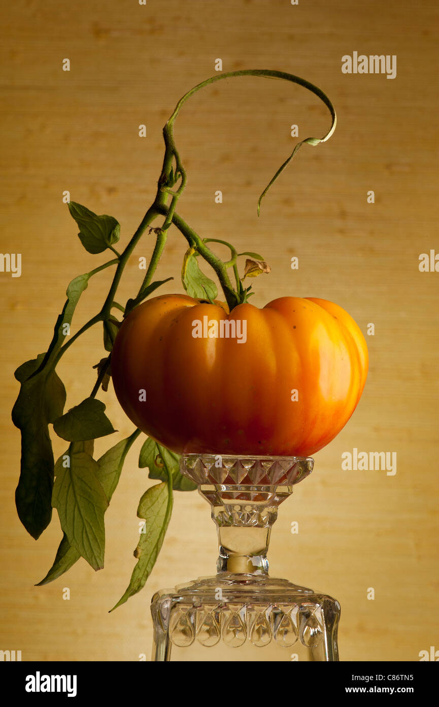 OLD GERMAN HEIRLOOM TOMATO Stock Photo Alamy