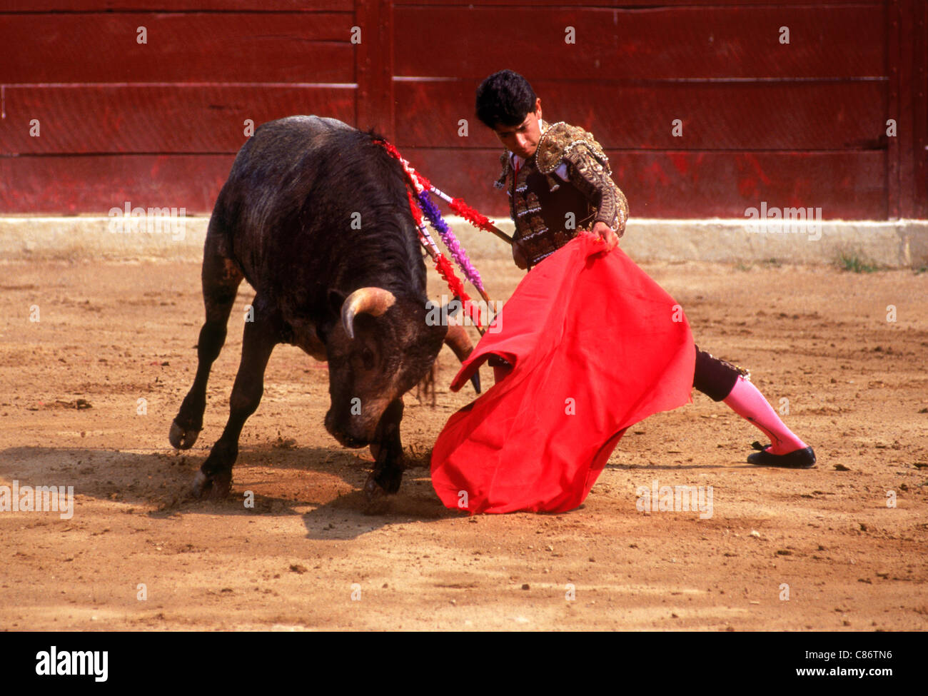 Bull Attacking Red Cape And Matador During Bullfight Stock Photo Alamy
