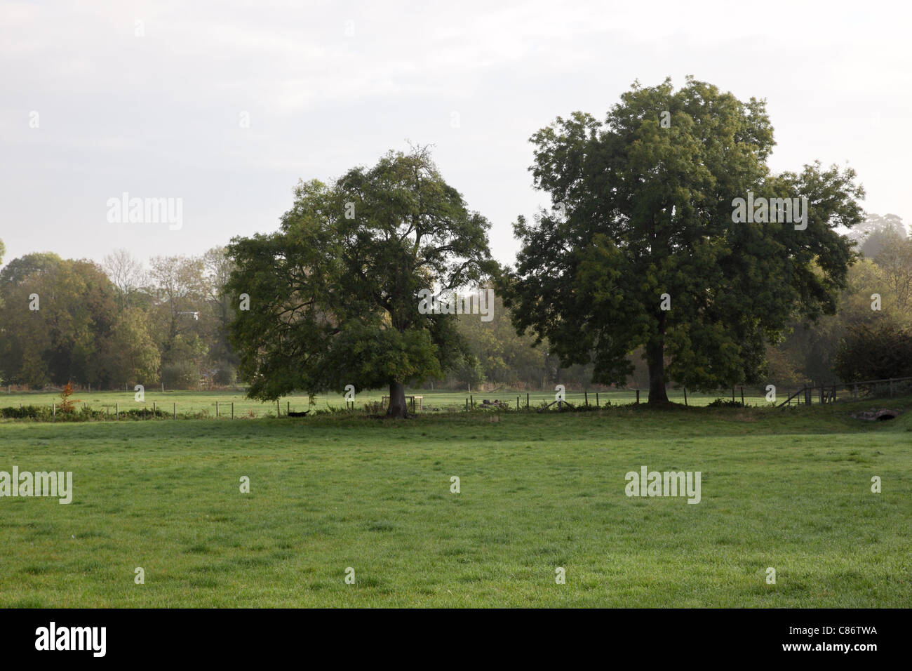 Countryside near Great Wishford, Wiltshire, England, UK Stock Photo