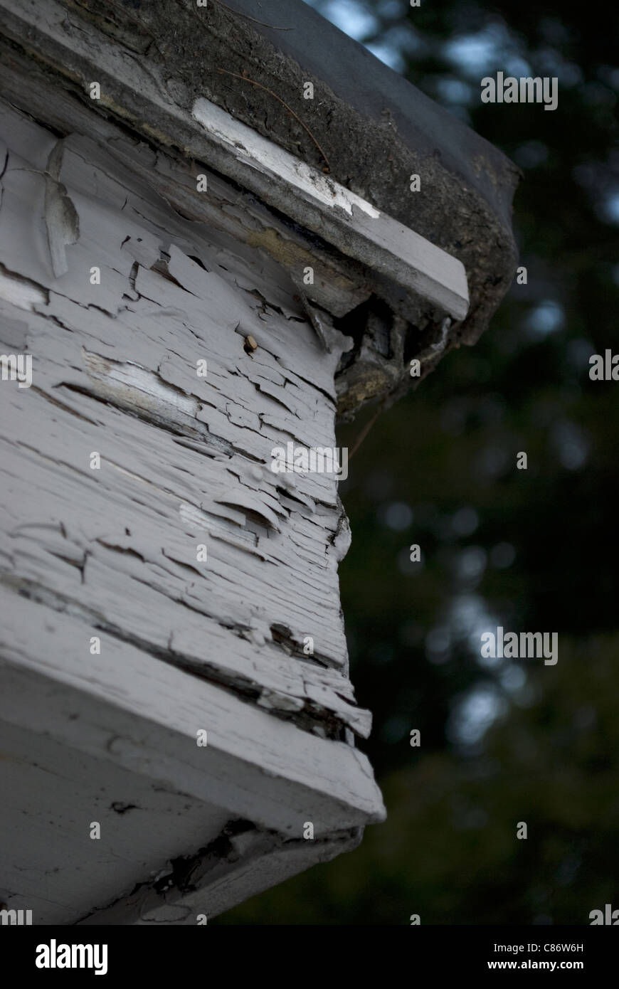 Corner of a roof overhang with peeling paint, rotting wood, and tar roofing material. Stock Photo