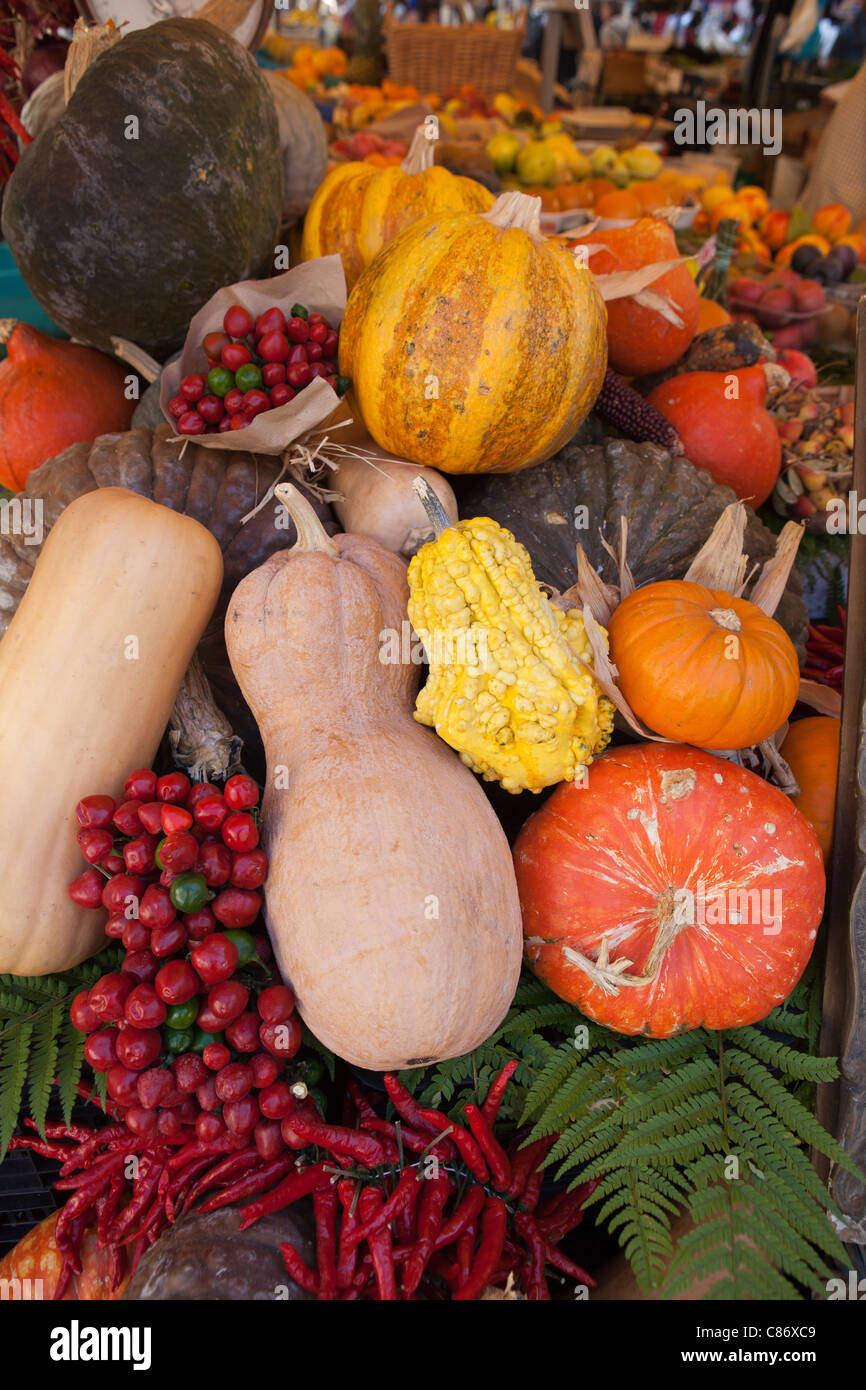 colourful display of pumpkins and squashes at market stall Stock Photo ...