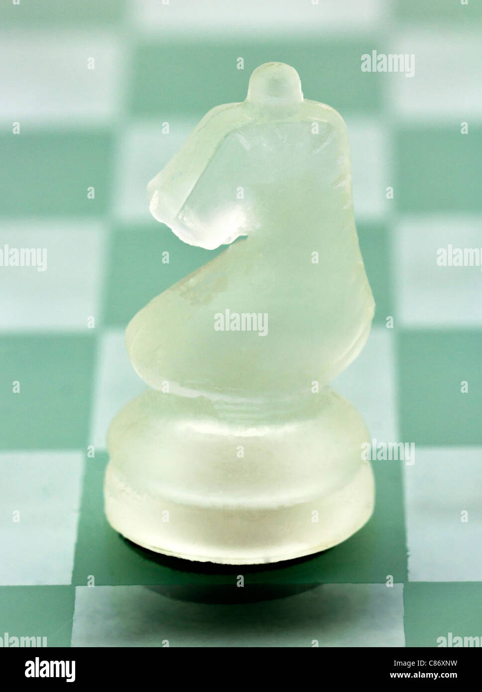 Knight chess piece made of tinted glass Stock Photo