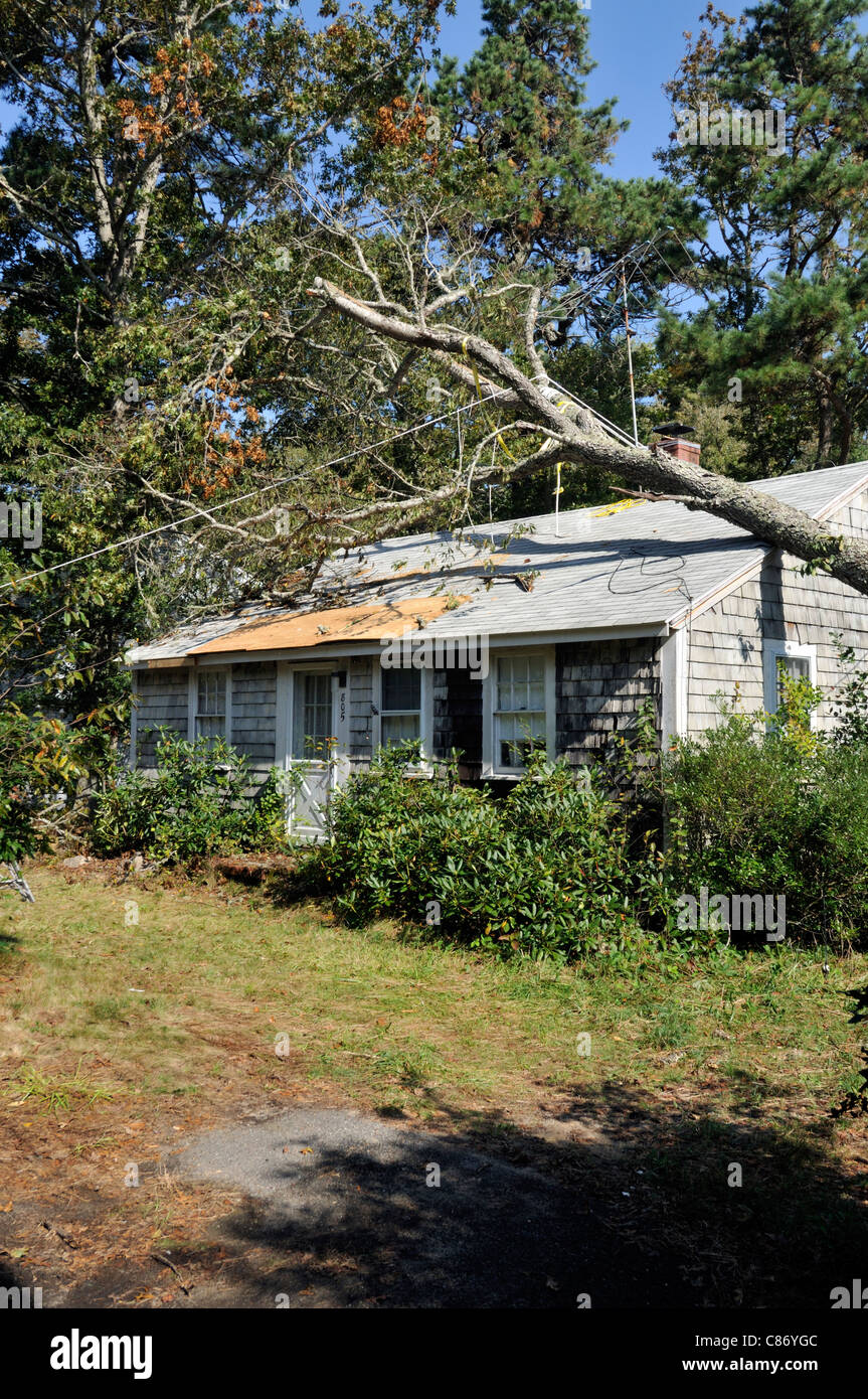 House fallen tree hires stock photography and images Alamy