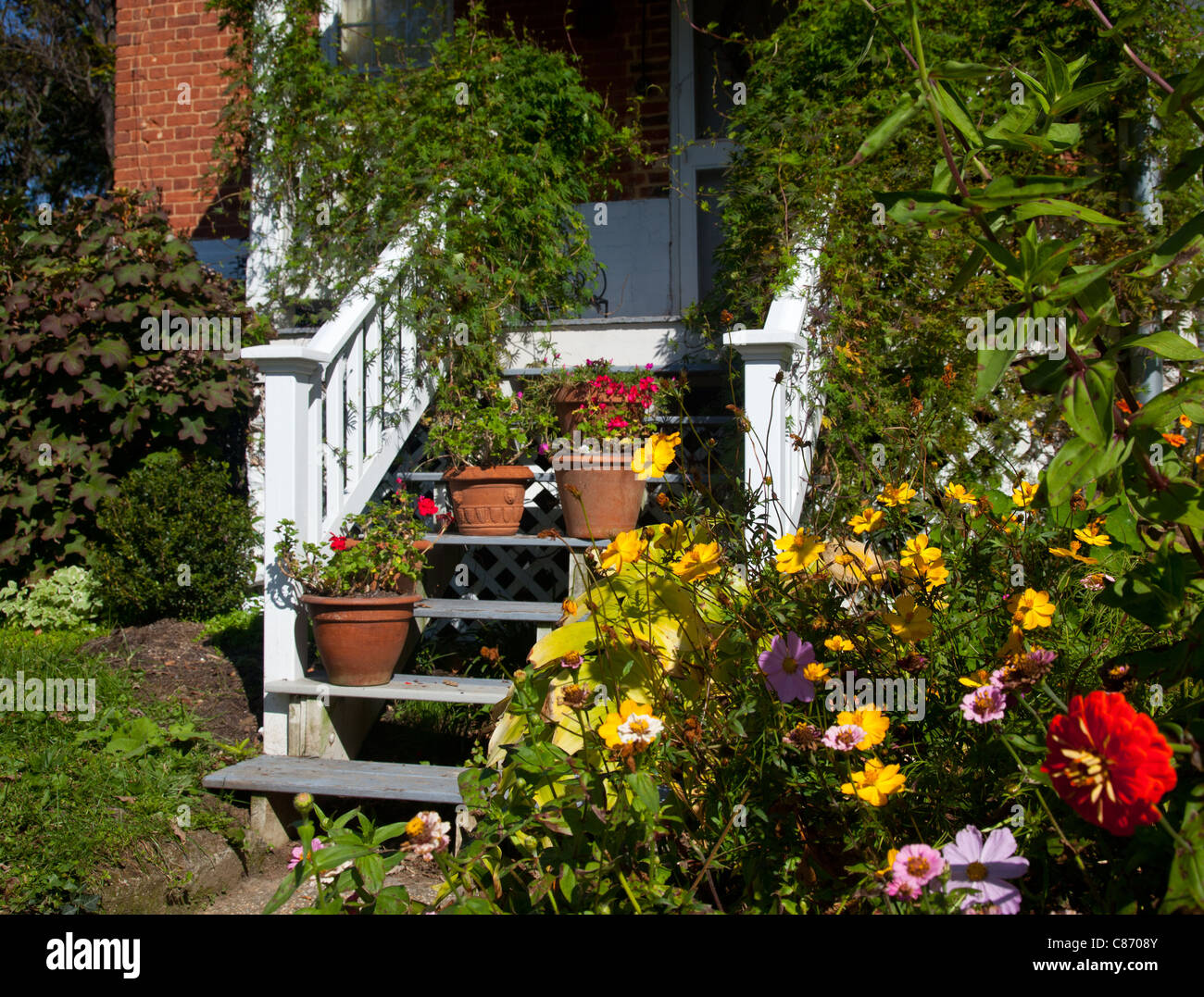 Flowering garden surrounds the white painted wooden stairs leading to front door of house Stock Photo