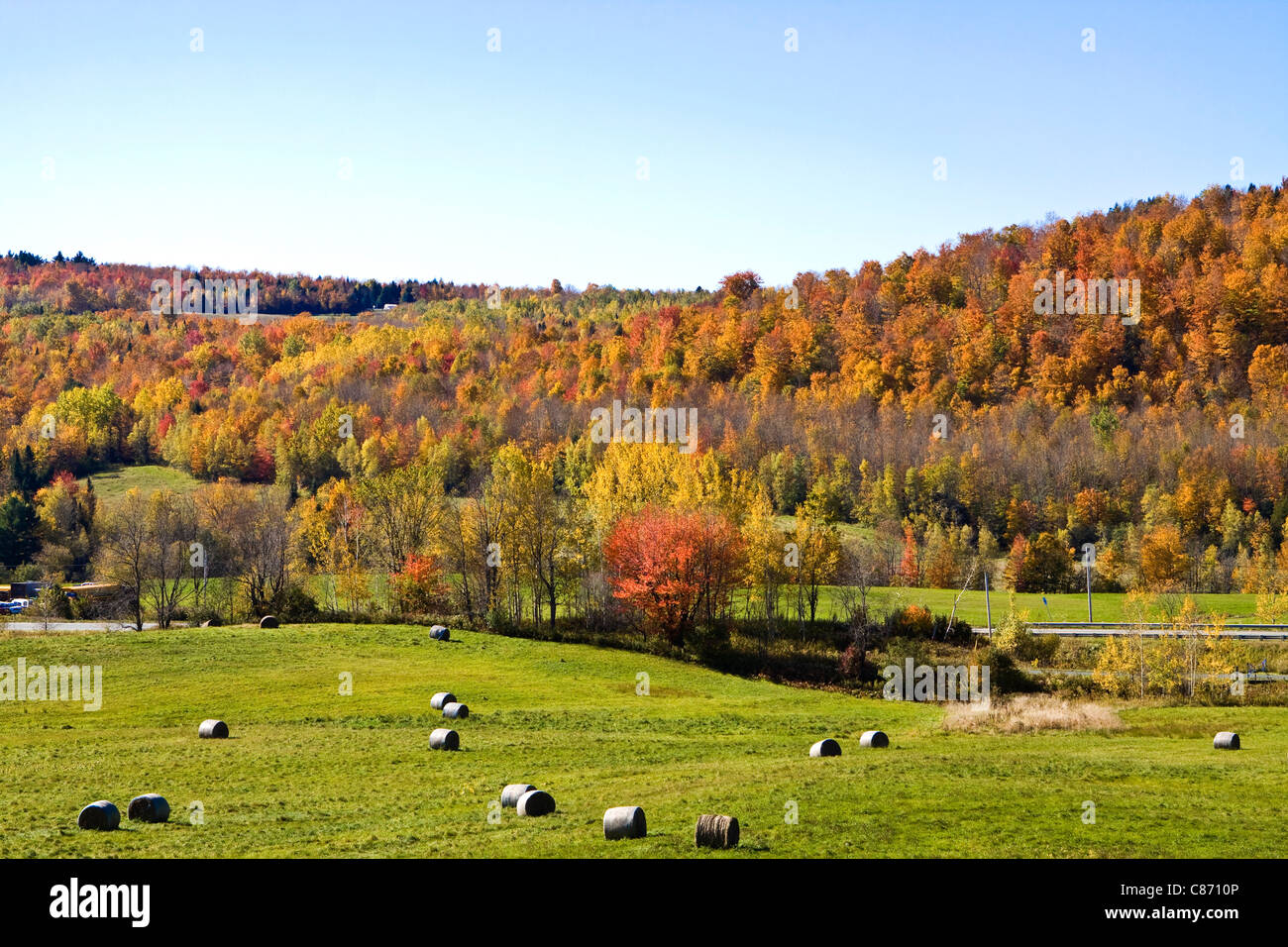 Indian summer in Quebec, Canada. Hay bales on the field. Maple forest in the background. Stock Photo