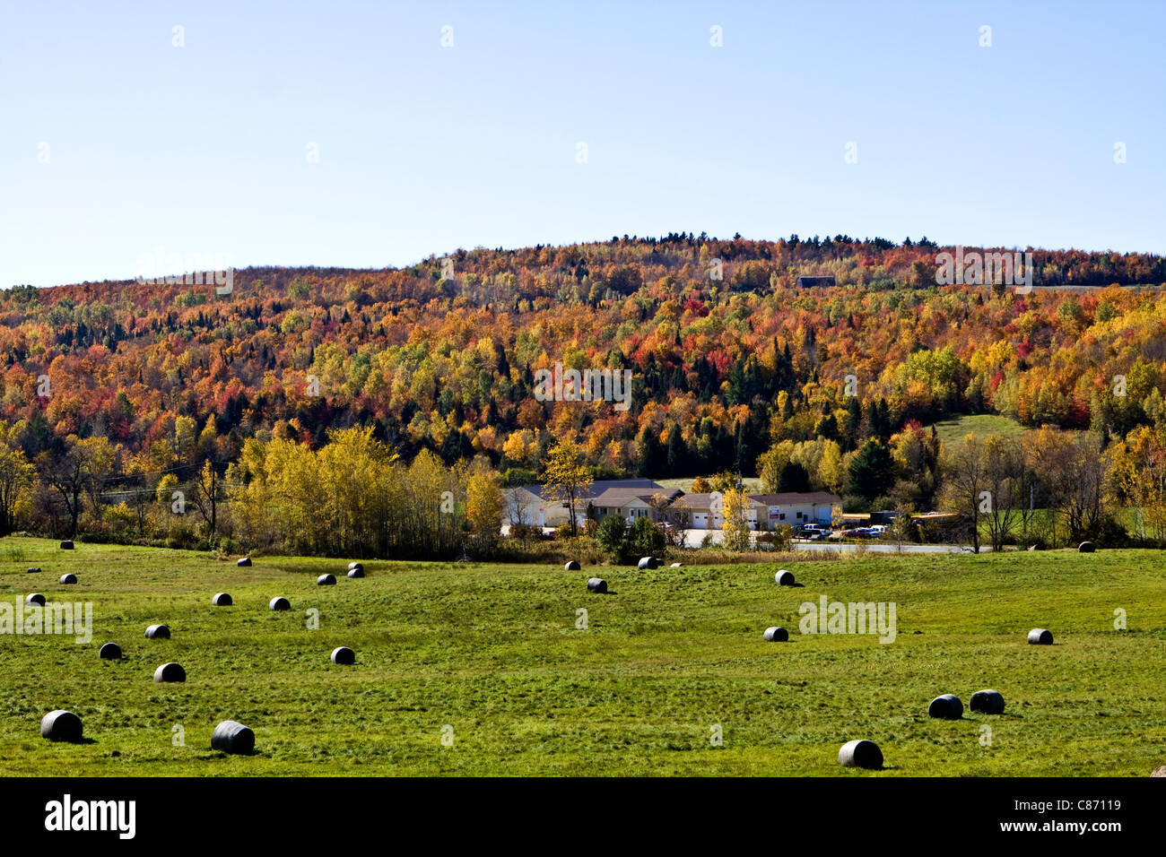 Indian summer in Quebec, Canada. Hay bales on the field. Maple forest in the background. Stock Photo