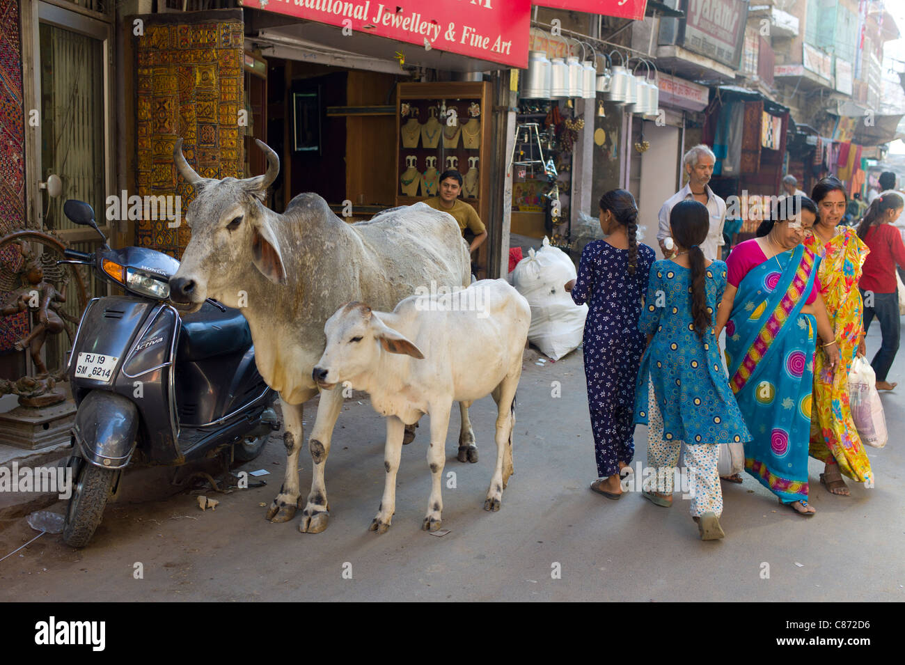Crowded street scene people, cows, traffic at Sardar Market at Girdikot, Jodhpur, Rajasthan, Northern India Stock Photo