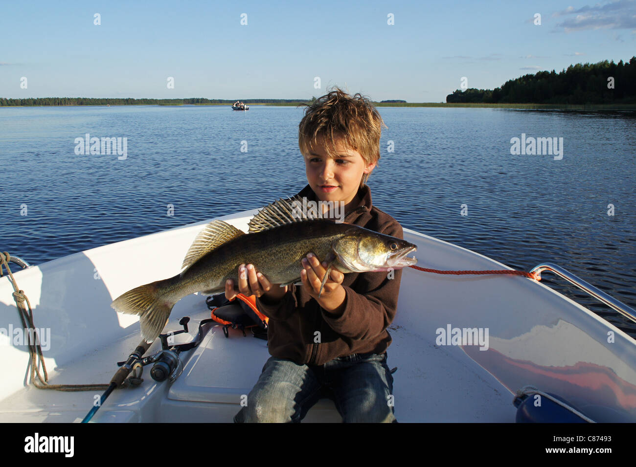 Young boy proudly showing his just caught Pike perch (Sander lucioperca), Hedesunda, Sweden Stock Photo