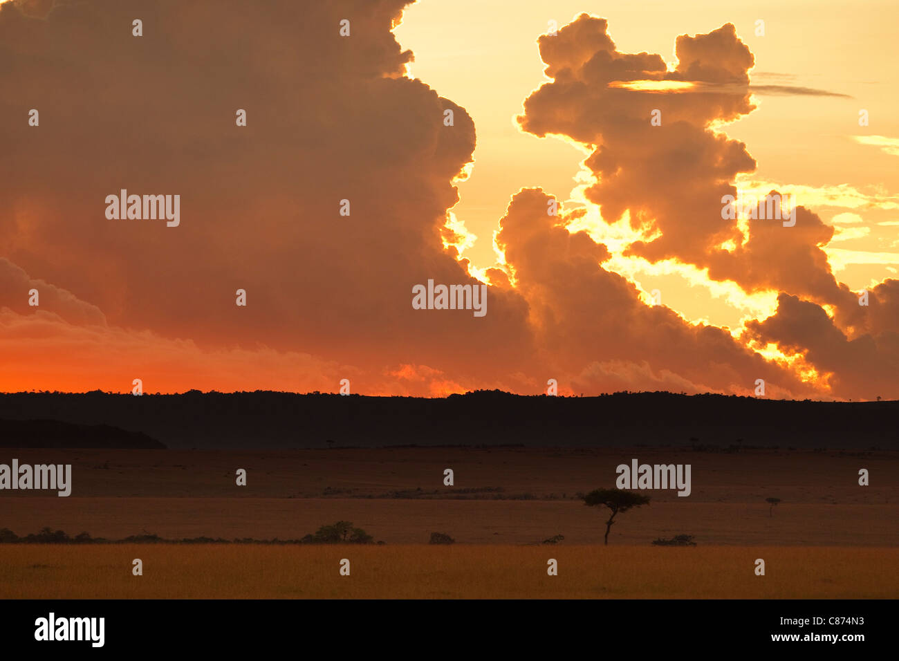 Sunset, Masai Mara National Reserve, Kenya Stock Photo