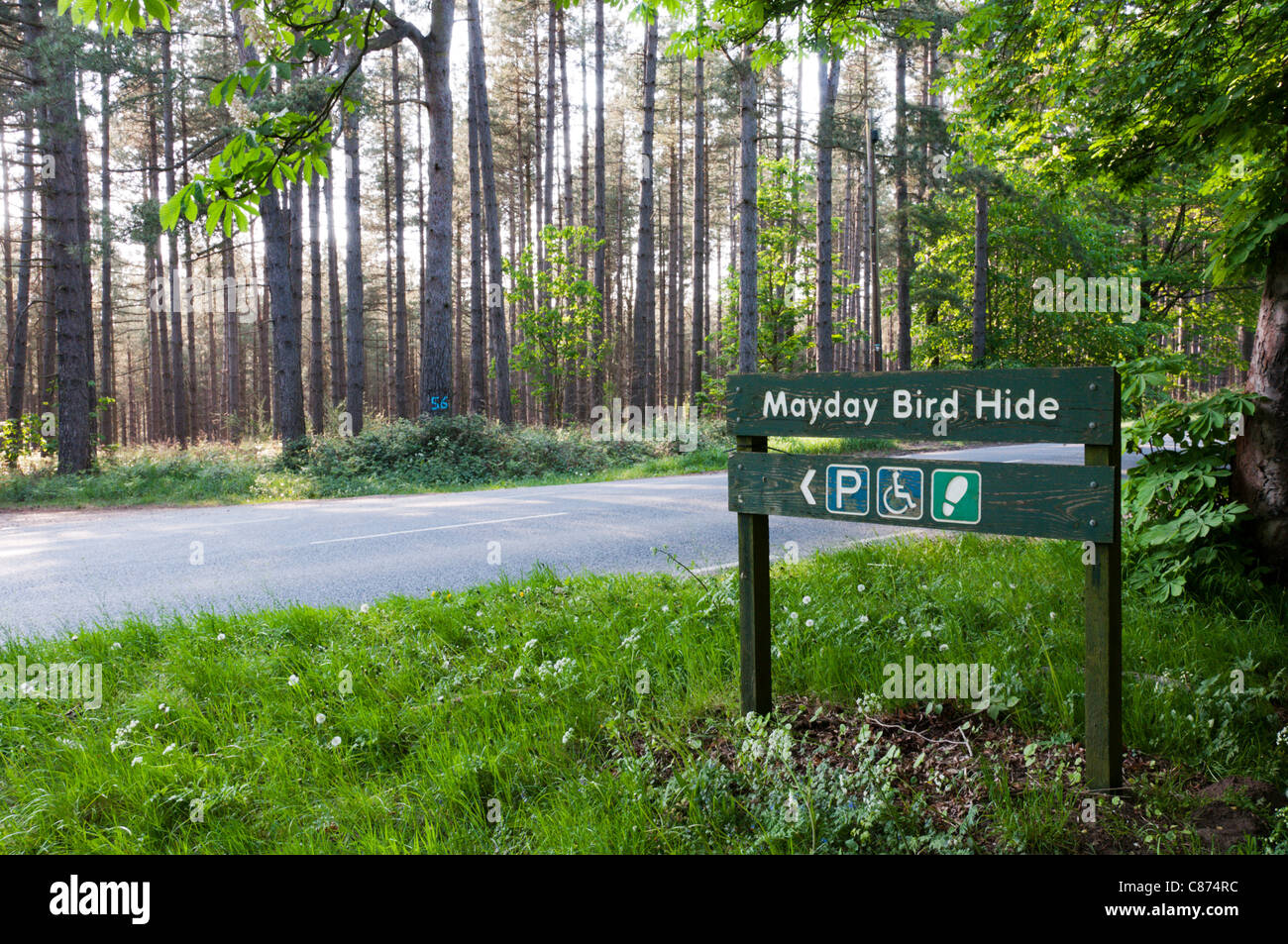 Sign for Mayday Bird Hide in Thetford Forest. See C874WX for right ...