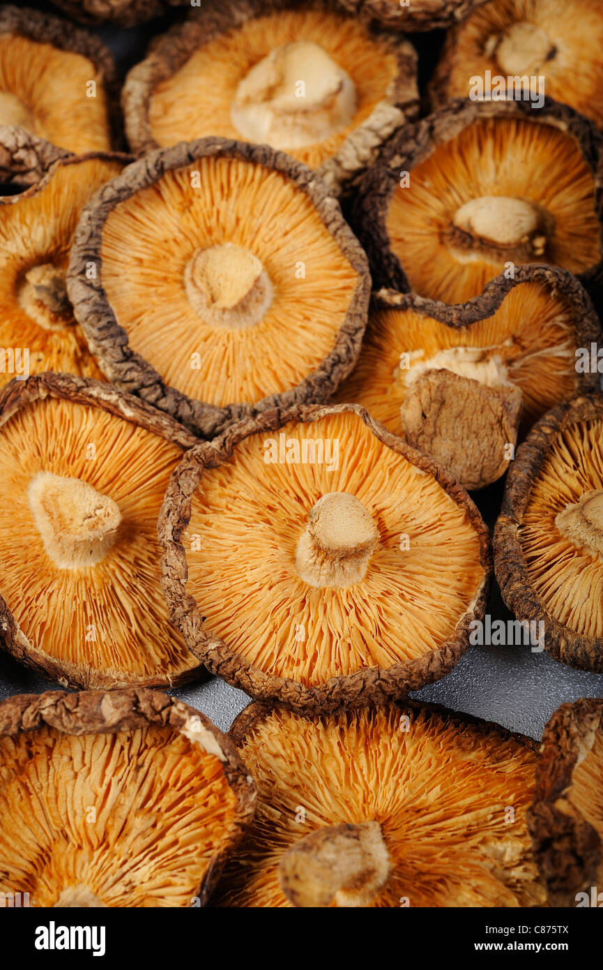 Dried mushrooms hires stock photography and images Alamy
