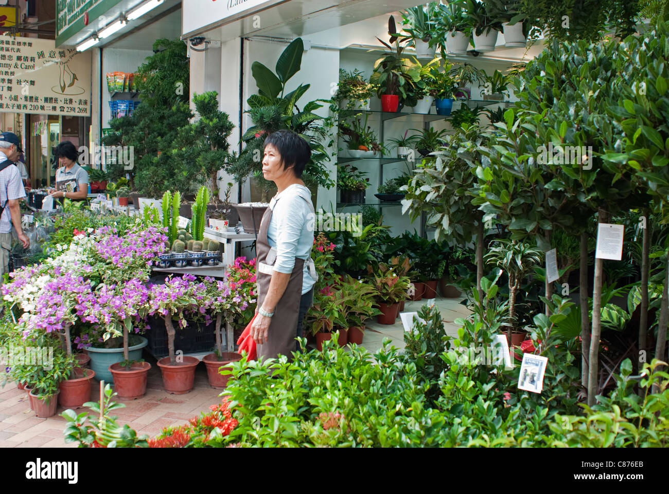 The Flower Market, Kowloon, Hong Kong Stock Photo Alamy