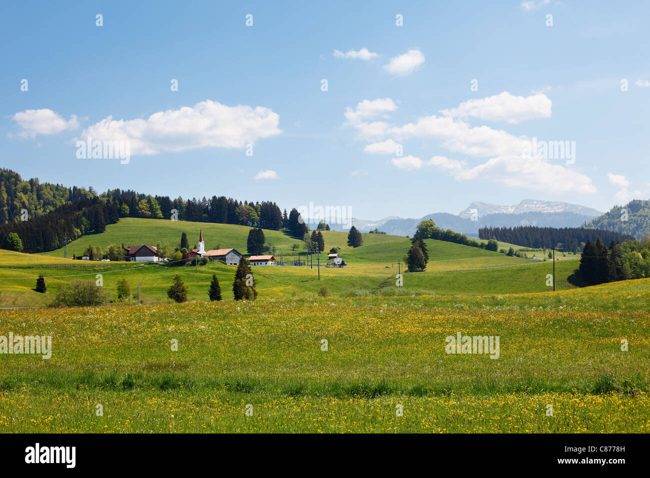 Germany, Bavaria, Swabia, Allgaeu, Oberallgaeu, Oberstaufen, Zell, View of village with meadow Stock Photo