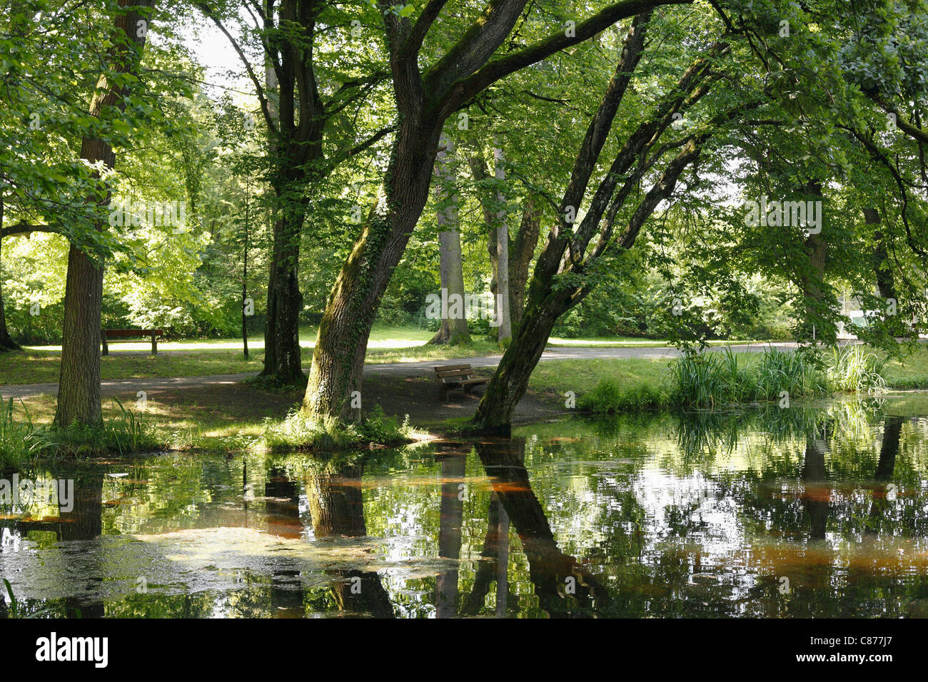 Germany, Bavaria, Upper Bavaria, Bad Aibling, View of trees in spa garden Stock Photo