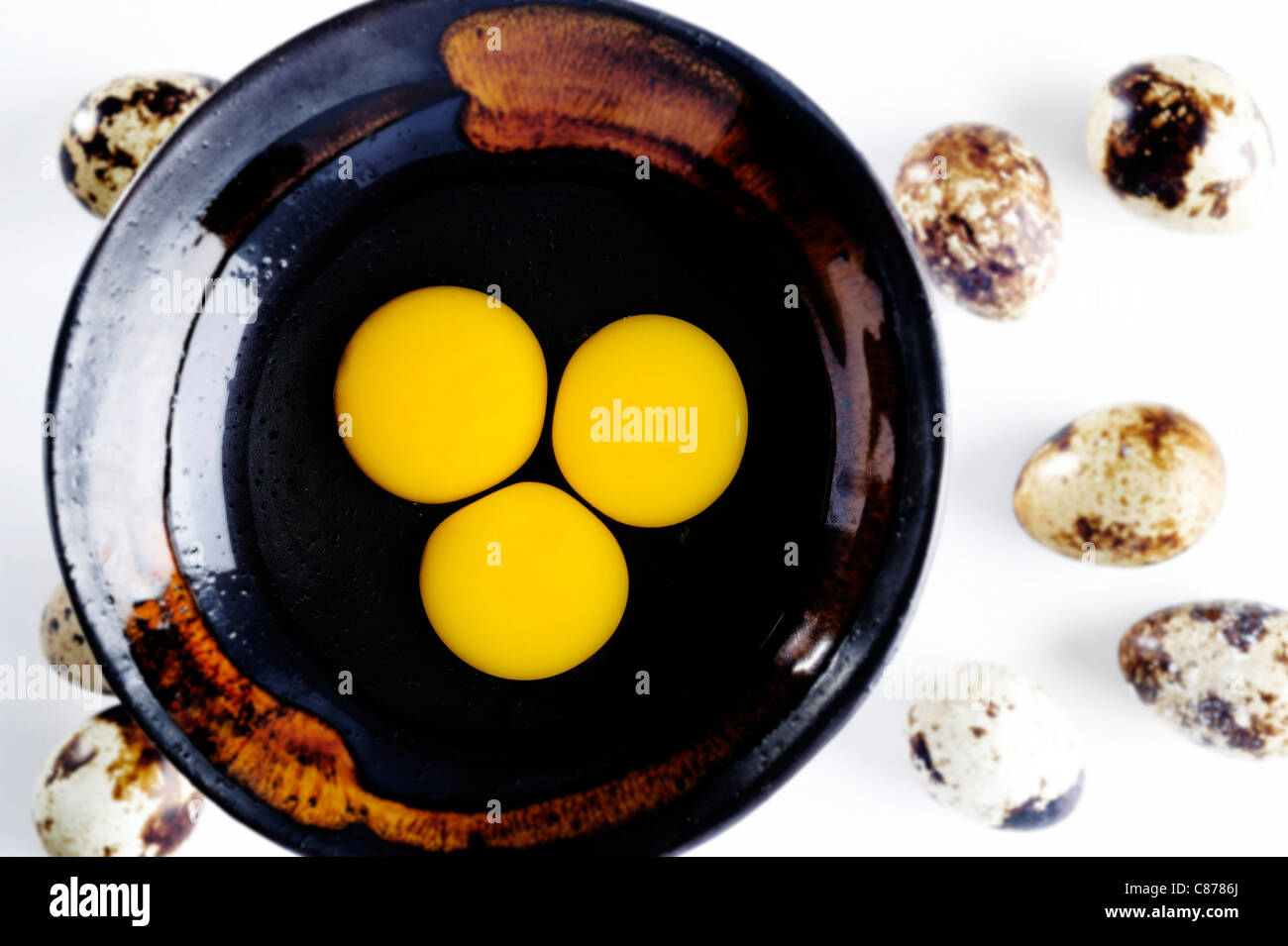 yolk quail on a plate Stock Photo
