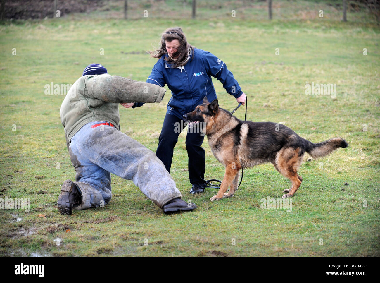 What Can You Learn From Police Dog Training