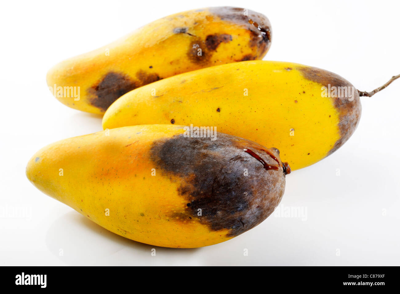 Rotten mango. Overripe Fruit on a white background.Isolated Stock Photo