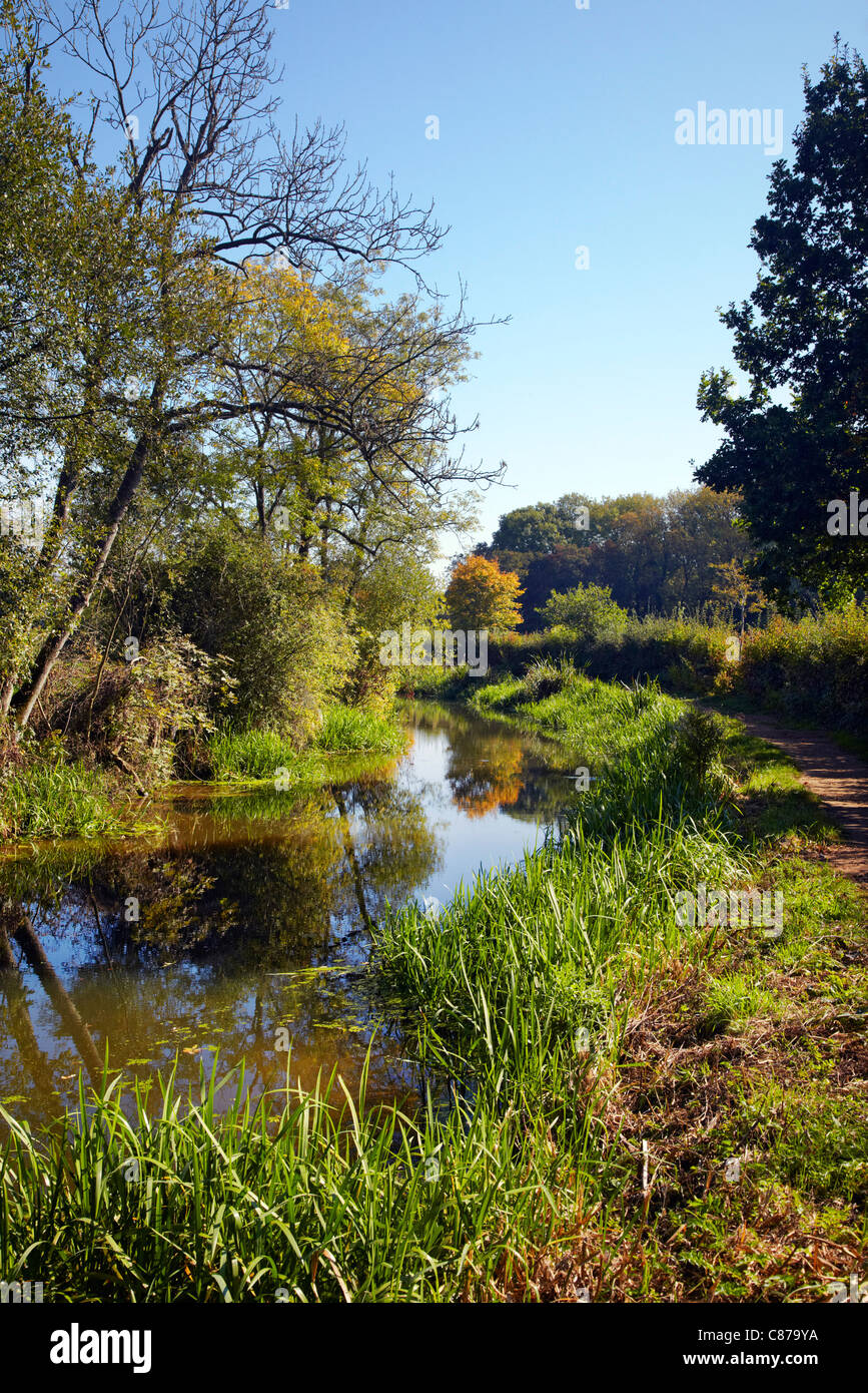 Bridleway by The Wey & Arun Canal near Loxwood, Sussex, England Stock Photo