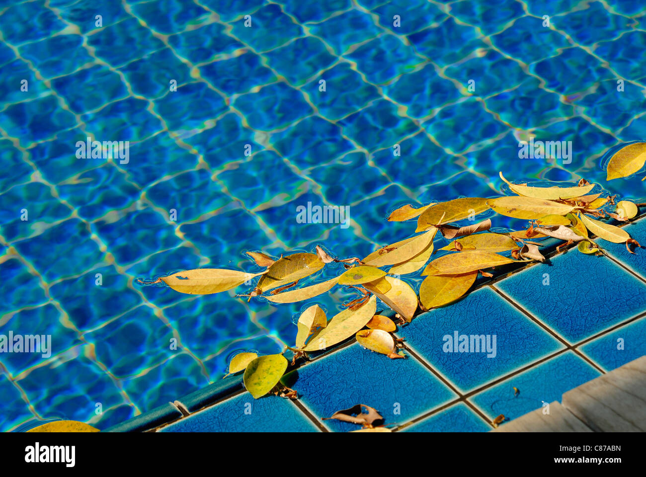 Sunlight on swimming pool hi-res stock photography and images - Alamy