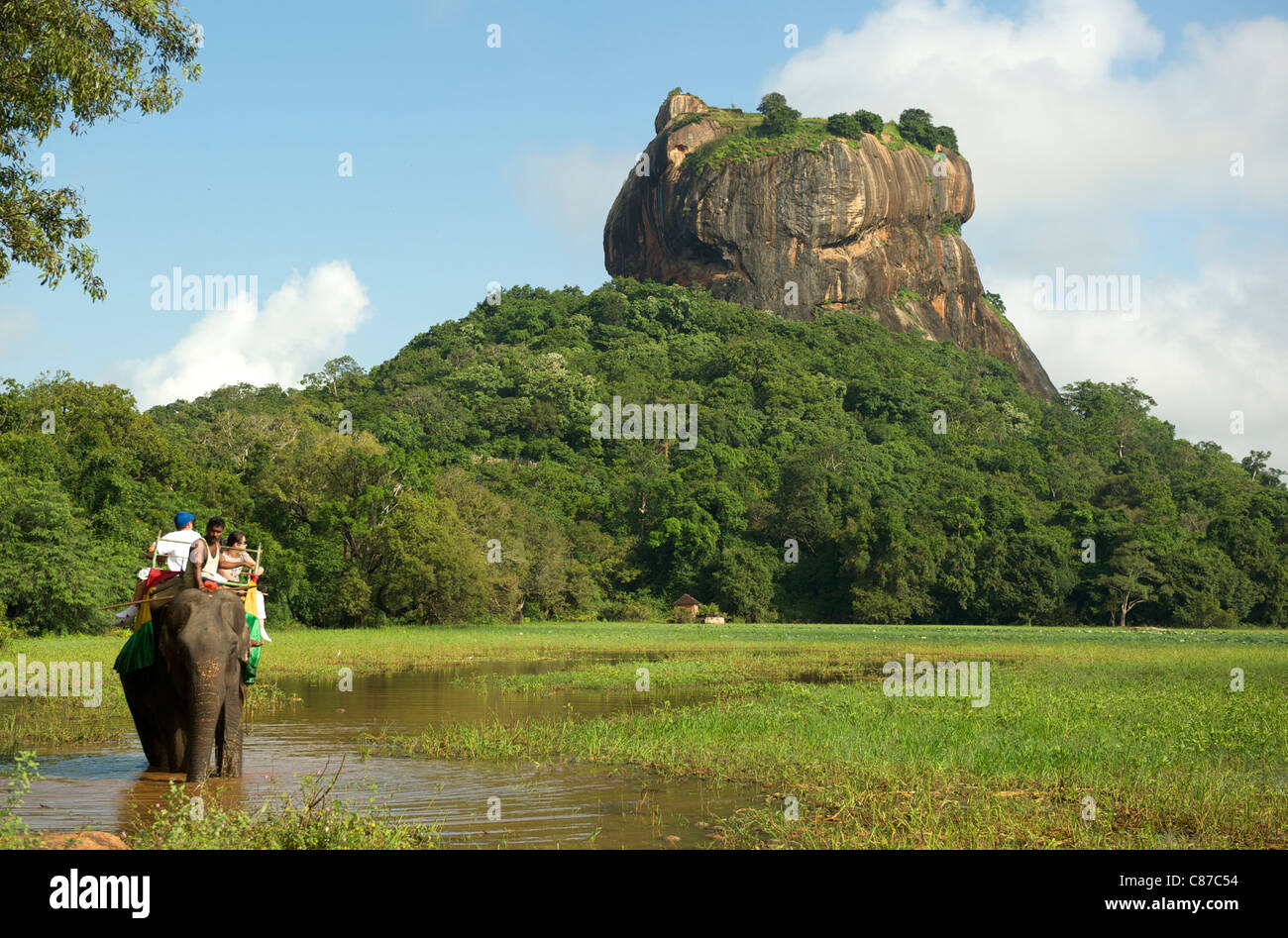 An elephant ride in Sigiriya Sri Lanka Stock Photo