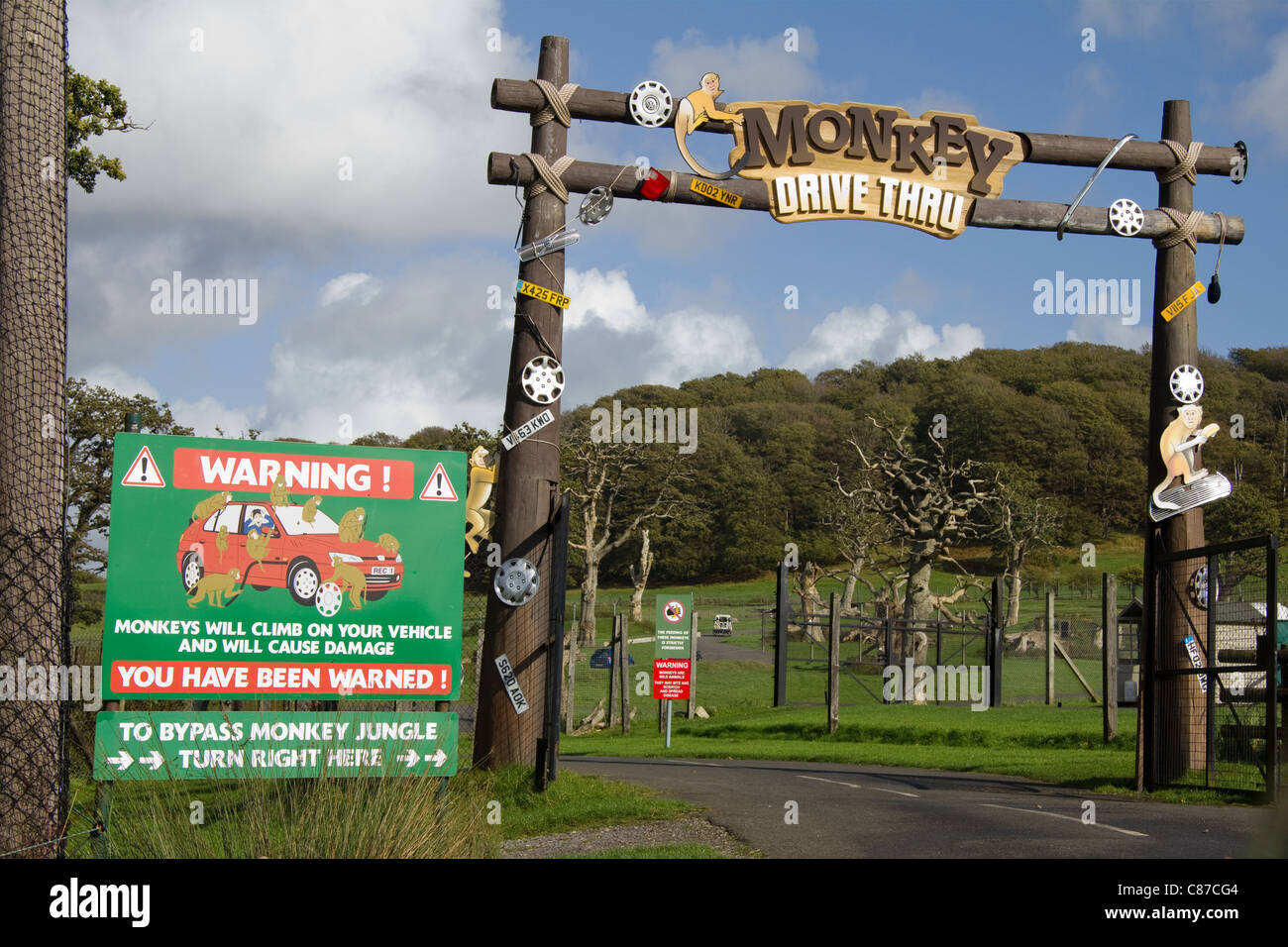 'Monkey Drive Thru' Longleat Safari Park Wiltshire UK Stock Photo Alamy
