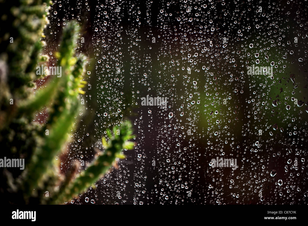 Rain on windows of a house in Bolton, Lancashire, England. Picture by Paul Heyes, Sunday October 09, 2011. Stock Photo