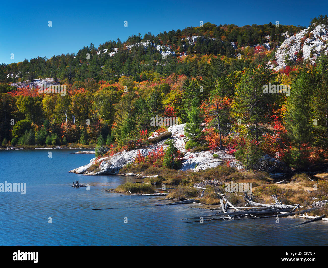 Beautiful fall nature scenery of lake Lumsden at Killarney Provincial ...