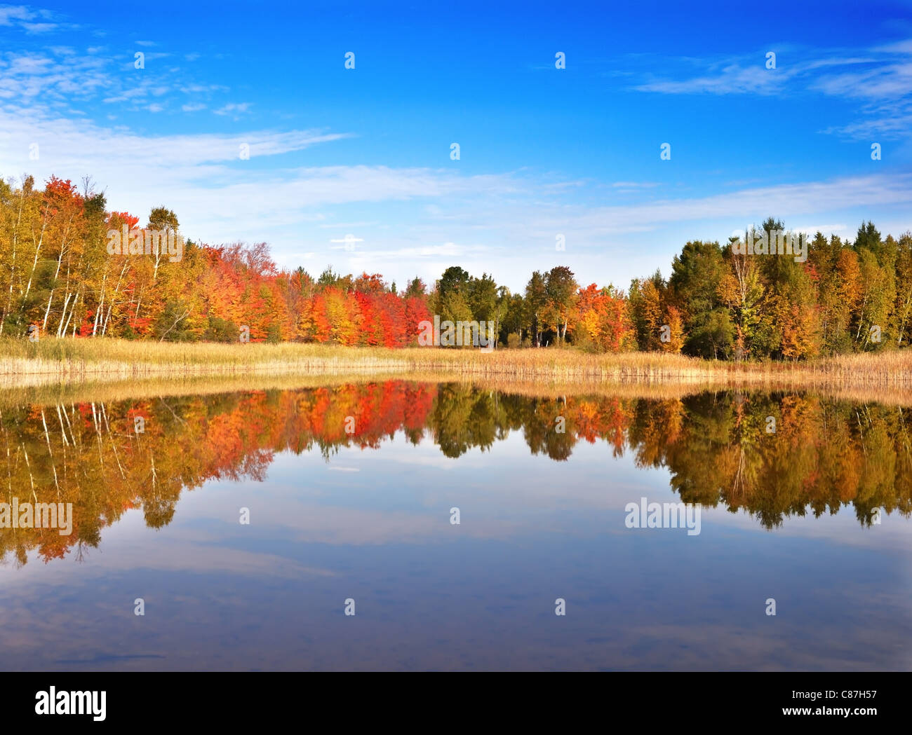 an autumn colorful forest by the small lake Stock Photo - Alamy