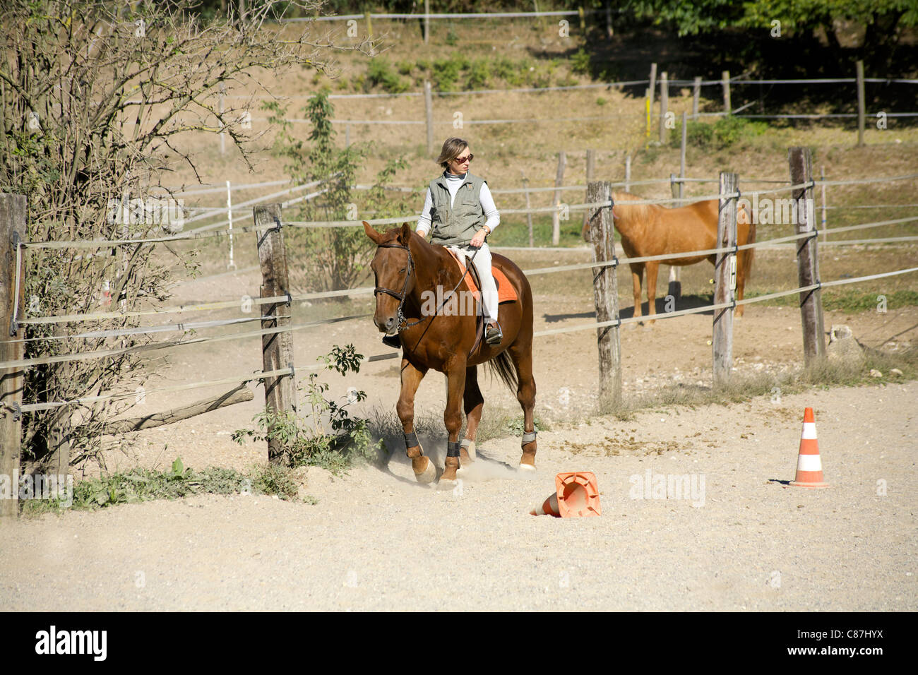 Horse walking, walk, walks, Horse and rider, horse riding, horseback