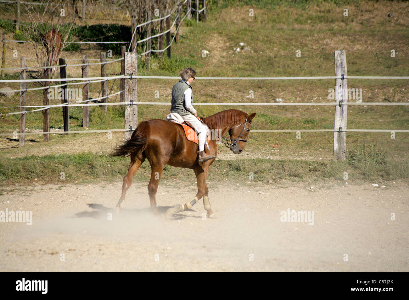 Horse walking, walk, walks, Horse and rider, horse riding, horseback