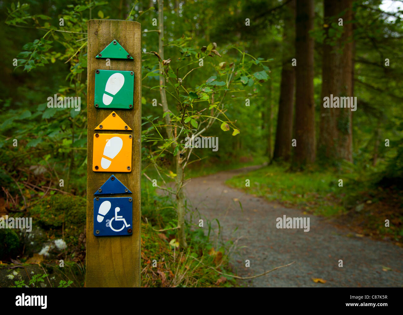 Footpath marker signpost by a wheelchair accessible  woodland track, Coed y Brenin forest, Dolgellau, Snowdonia, North Wales UK Stock Photo