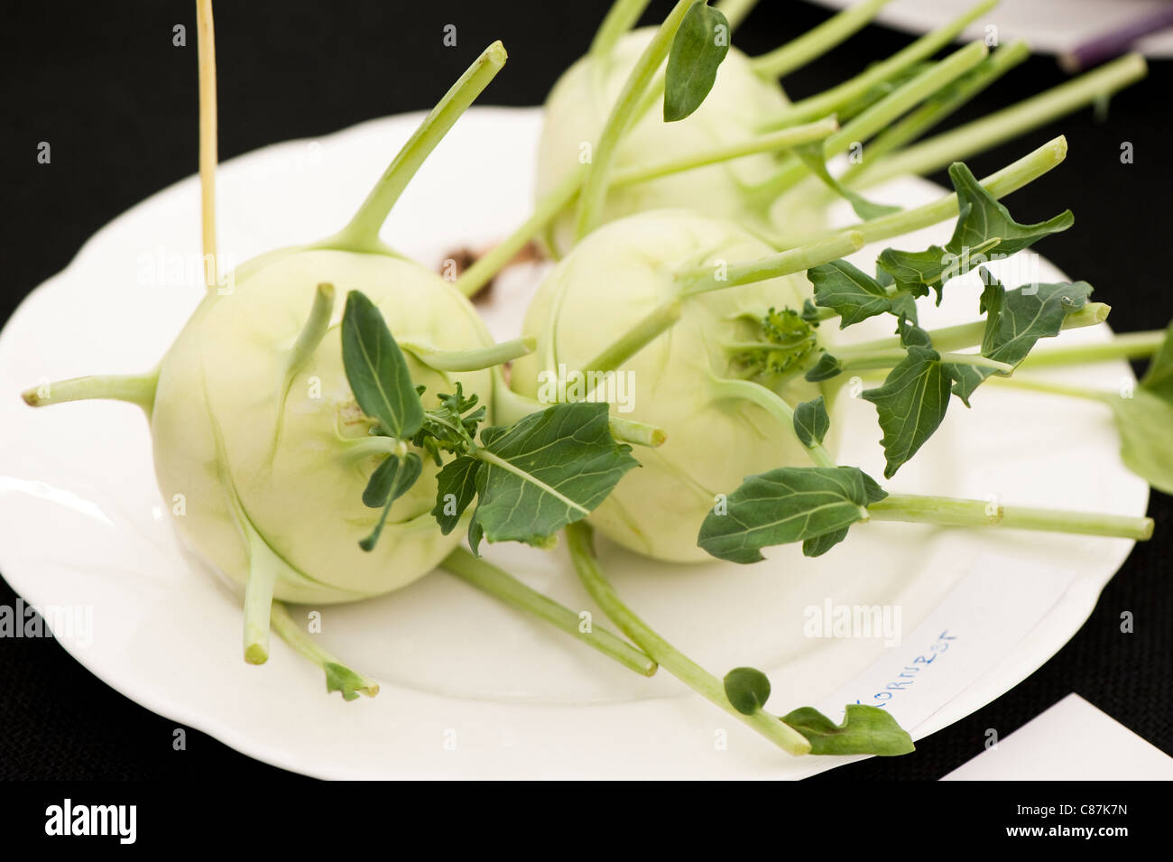 Kohlrabi, Brassica oleracea, entrant in competition, 2011 RHS Flower Show Tatton Park Stock Photo