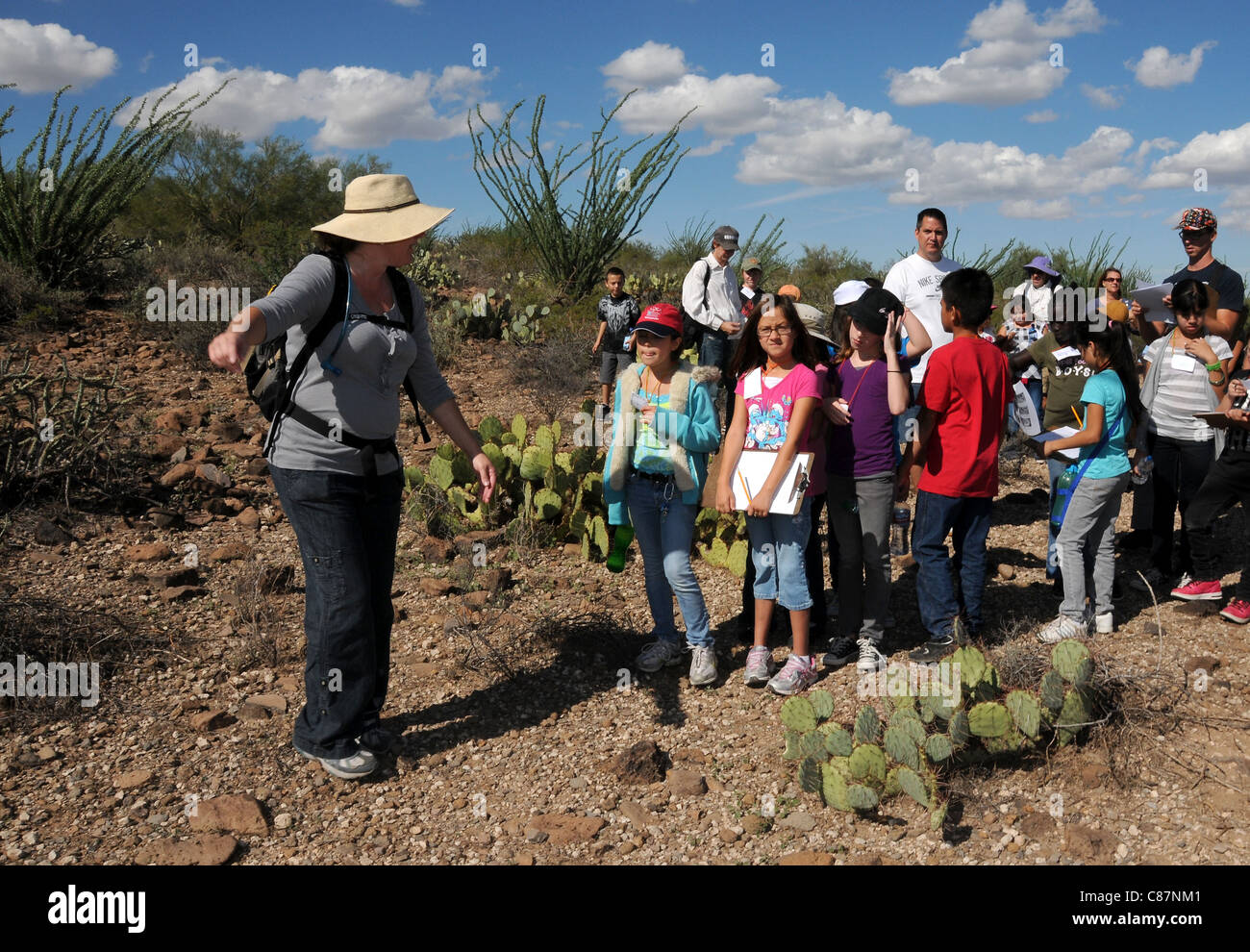 Elementary school students study the Sonoran Desert in Tucson, Arizona
